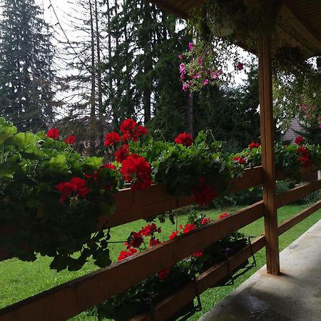 Challet Montan Poiana Brasov Extérieur photo