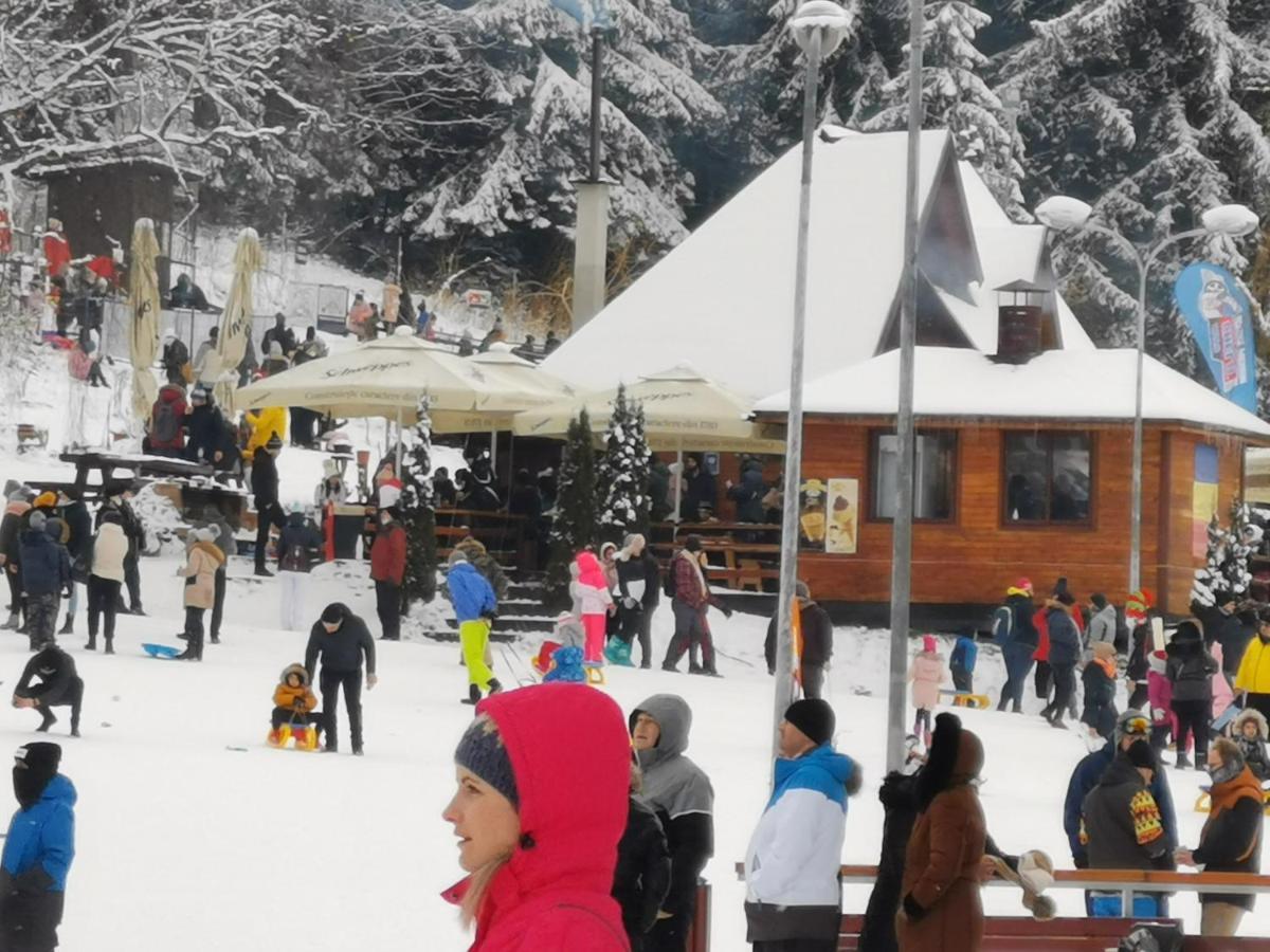 Challet Montan Poiana Brasov Extérieur photo