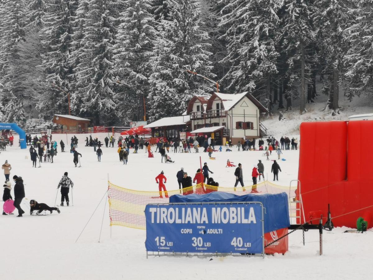 Challet Montan Poiana Brasov Extérieur photo