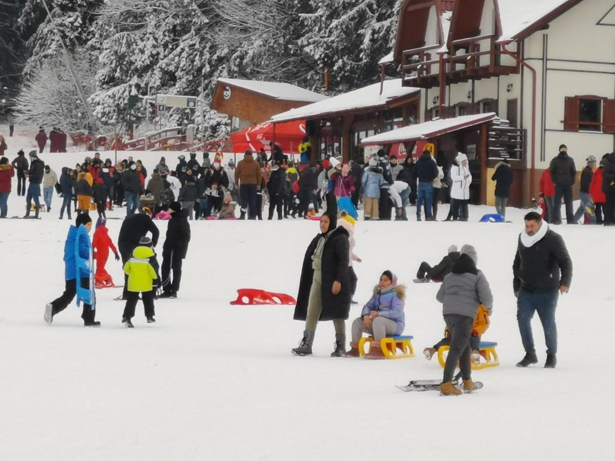 Challet Montan Poiana Brasov Extérieur photo