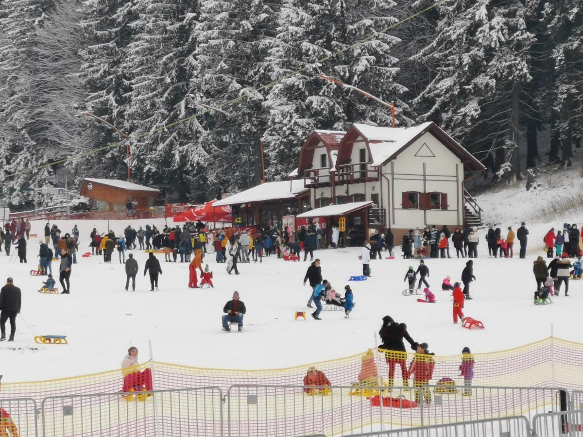 Challet Montan Poiana Brasov Extérieur photo