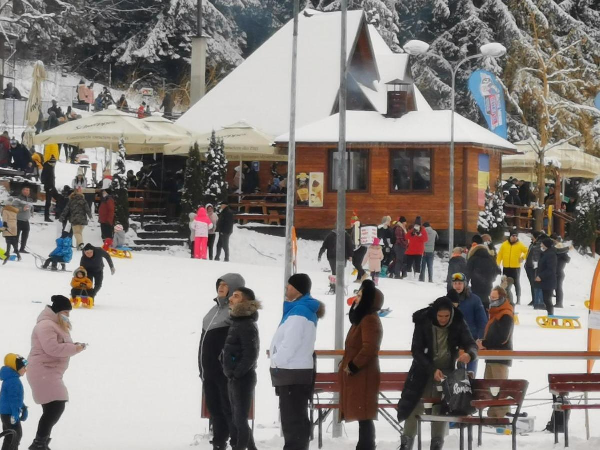 Challet Montan Poiana Brasov Extérieur photo