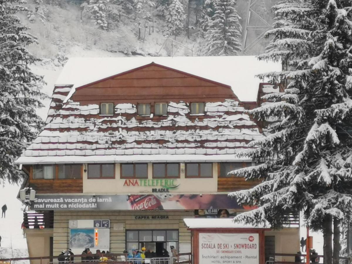 Challet Montan Poiana Brasov Extérieur photo