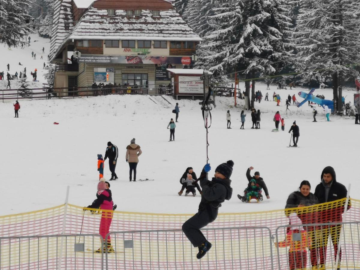 Challet Montan Poiana Brasov Extérieur photo