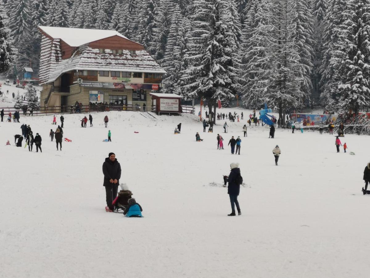 Challet Montan Poiana Brasov Extérieur photo