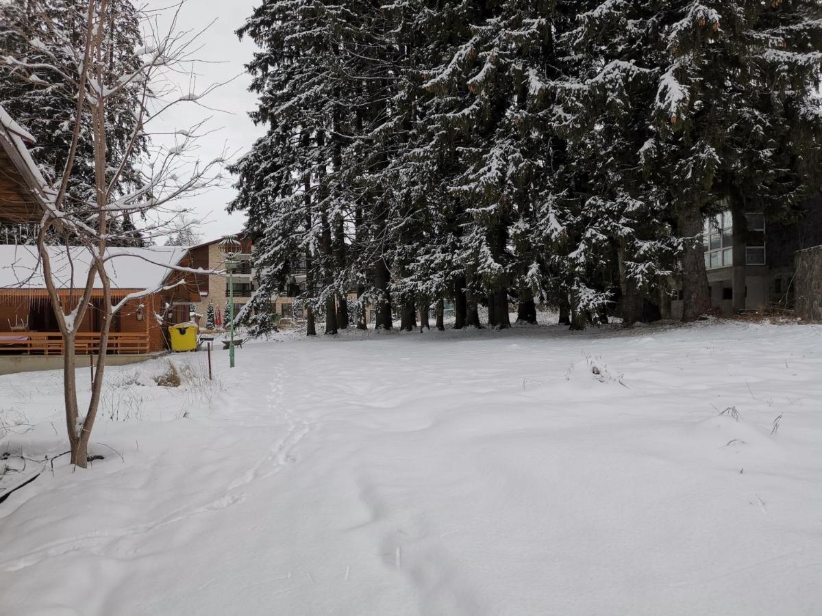 Challet Montan Poiana Brasov Extérieur photo