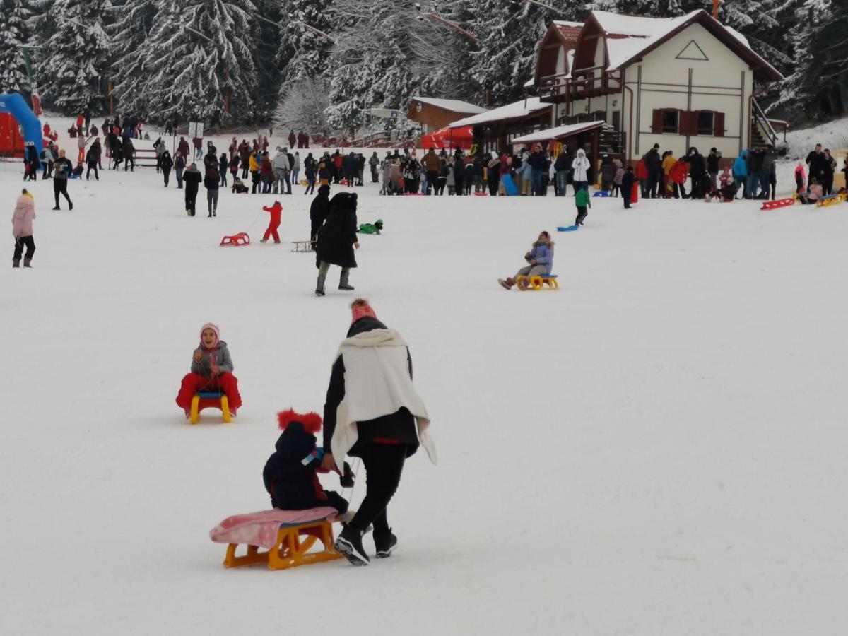Challet Montan Poiana Brasov Extérieur photo