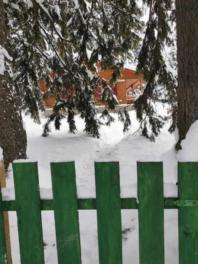 Challet Montan Poiana Brasov Extérieur photo