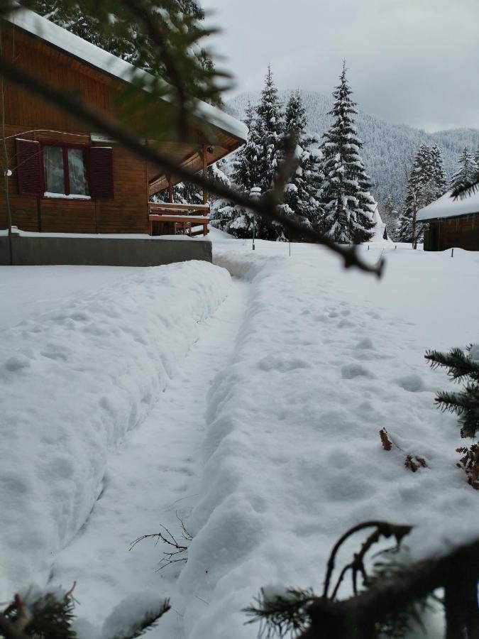 Challet Montan Poiana Brasov Extérieur photo
