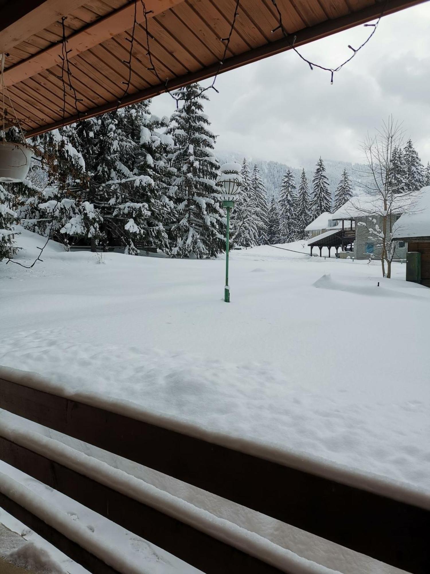 Challet Montan Poiana Brasov Extérieur photo