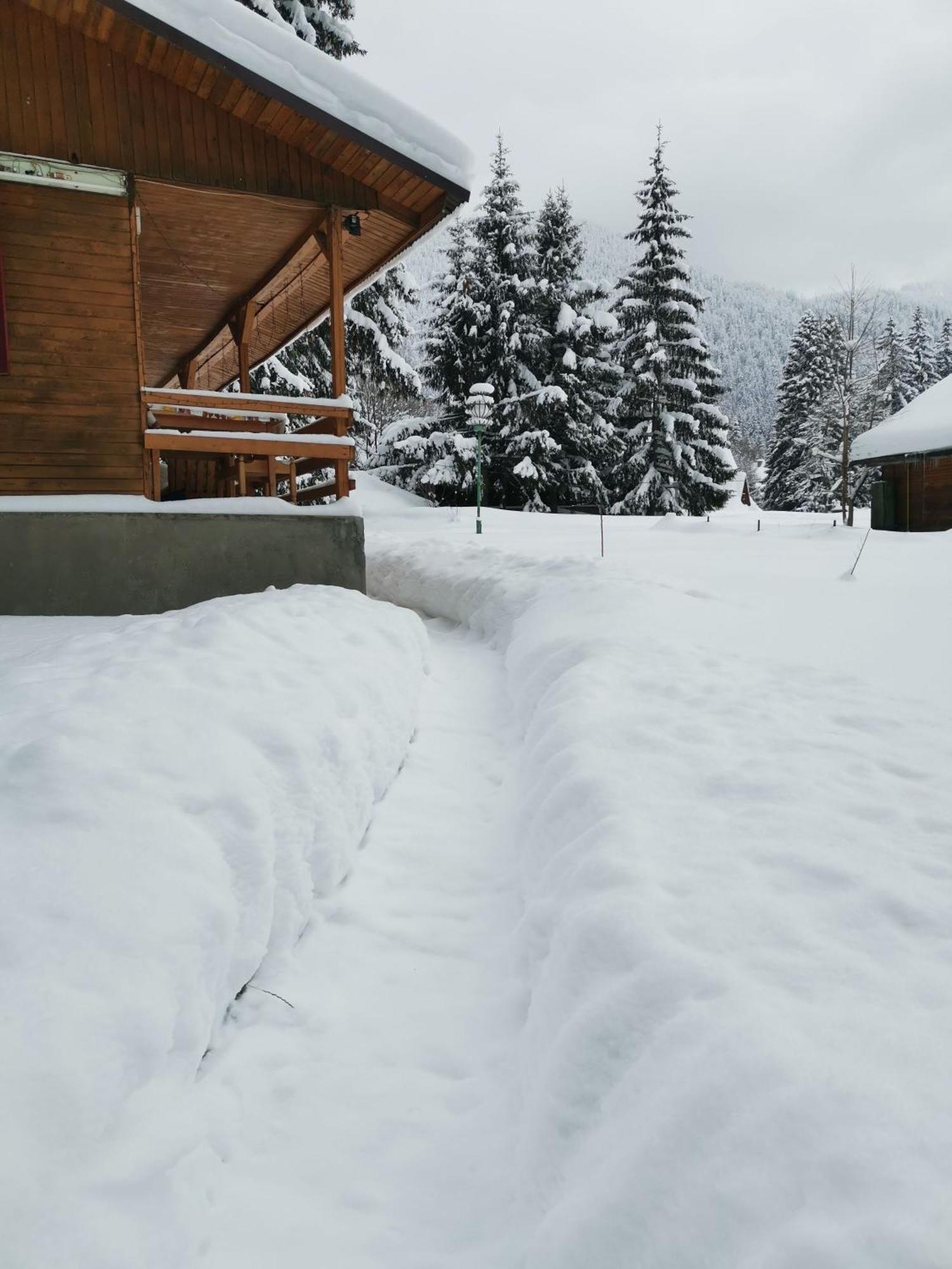 Challet Montan Poiana Brasov Extérieur photo