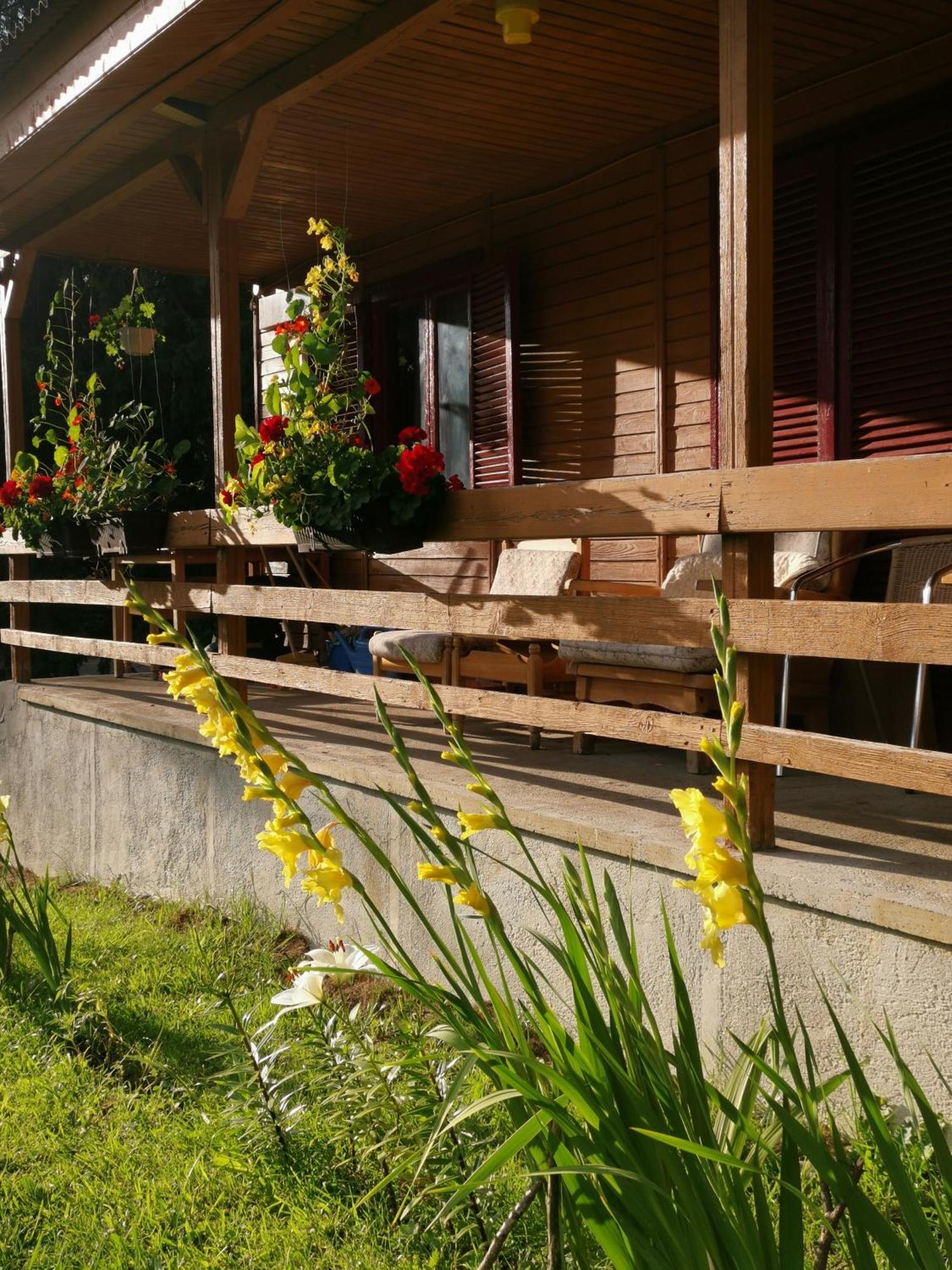 Challet Montan Poiana Brasov Extérieur photo