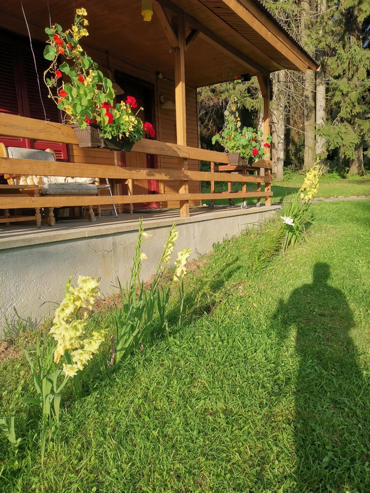 Challet Montan Poiana Brasov Extérieur photo