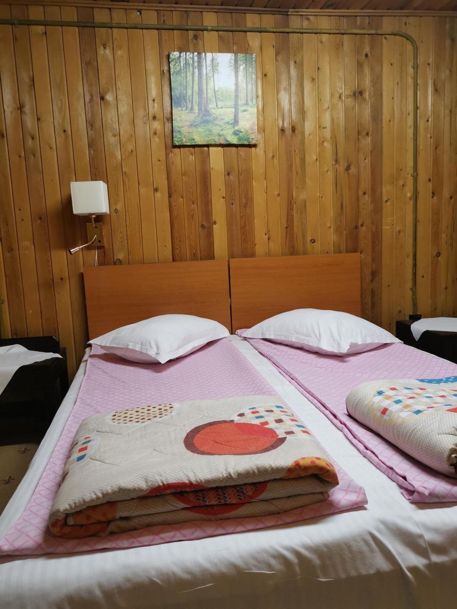 Challet Montan Poiana Brasov Extérieur photo